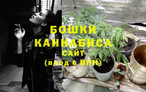 твердый Аркадак
