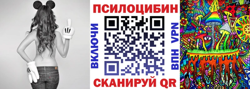 Галлюциногенные грибы Psilocybe  Себеж 